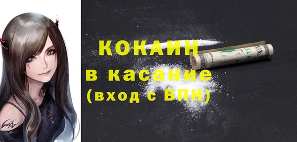 стаф Струнино