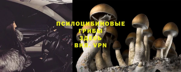 прущая мука Ступино