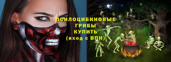 стаф Струнино
