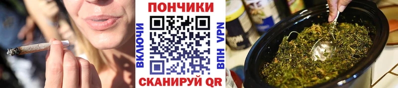 Канабис сатива Шарыпово